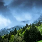 climate